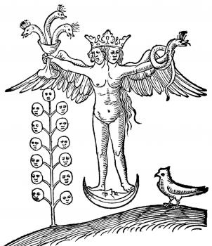 Alchemy Fire